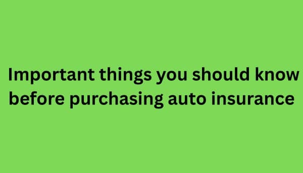Important Things You Should Know Before Purchasing Auto Insurance